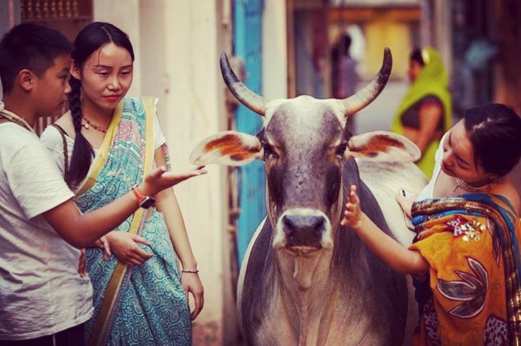 govinda.el.dulce.absoluto_1540948888_1901939582203816049_4005773278