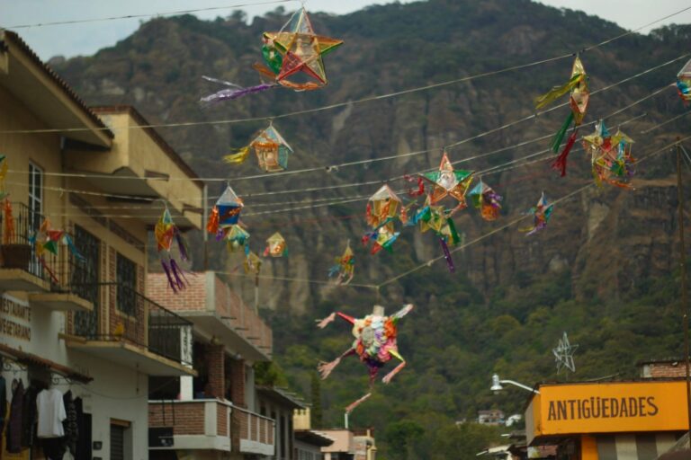 WhatsApp Image 2026-02-05 at 22.43.34 (1)